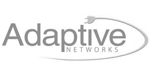 Adaptive Network